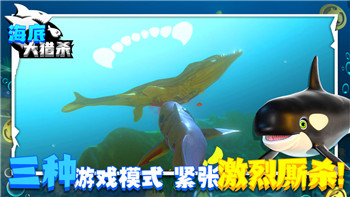 《炉石传说》标准模式乌龟德卡组分享：控制与韧性的完美结合！